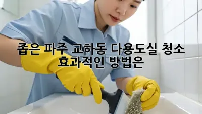 좁은 파주 교하동 다용도실 청소, 효과적인 방법은?