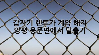 갑자기 렌트카 계약 해지? 🚗 양평 용문면에서 탈출기!