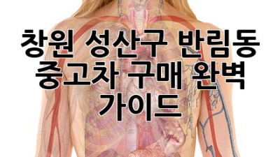 창원 성산구 반림동 중고차 구매 완벽 가이드